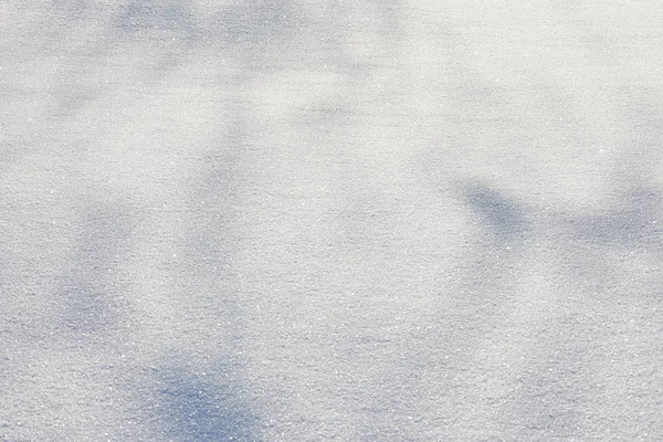 Fundo Neve Sombras Árvores Nele — Fotografia de Stock
