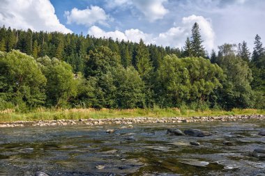 Dağ nehir kıyısında ve mavi gökyüzü bulutlu ağaçta ile.