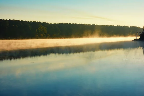 Lever Soleil Sur Lac Silhouettes Arbres Forestiers Brouillard Sur Lac — Photo