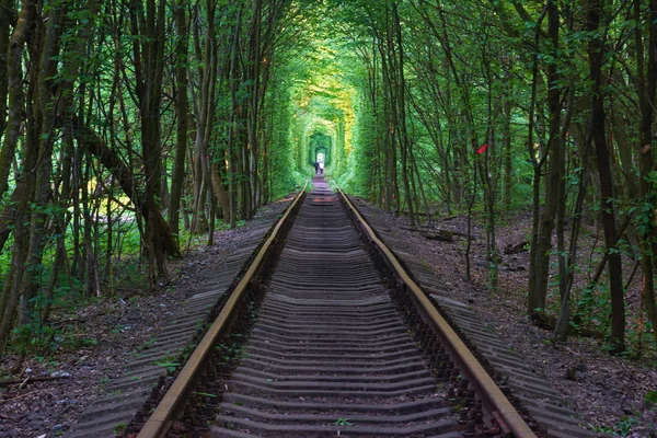 Prawdziwy Cud Natury Tunel Miłości Stworzony Drzew Wzdłuż Linii Kolejowej — Zdjęcie stockowe