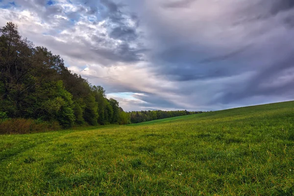 Evening Landscape Sky Clouds Meadows Forest — Stock Photo, Image