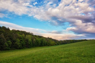 Gün batımında gökyüzü bulutlu çayırların ve ormanın üzerinde.