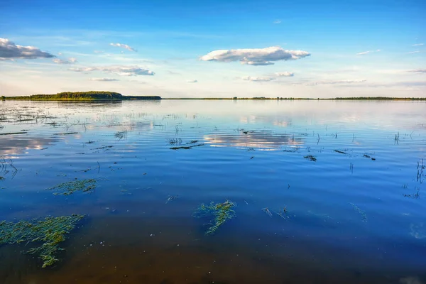 Sunny Day Lake — Stock Photo, Image