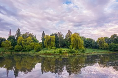 Yaz manzarası. Gün doğumunda üzerlerinde ağaçlar, çimenler ve bulutlar olan nehir kıyısı..