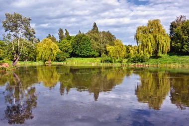 Yaz manzarası, üzerinde ağaçlar, çimenler ve bulutlar olan nehir kıyısı..