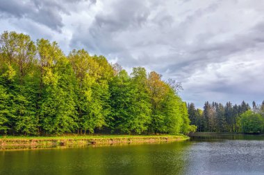 Akşam manzarası - göl ve orman kıyılarda, gökyüzü bulutlu.