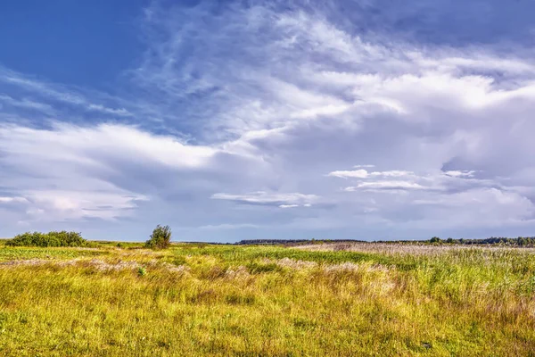 Łąka Trawą Słoneczny Dzień Błękitne Niebo Chmurami Nad Nią — Zdjęcie stockowe