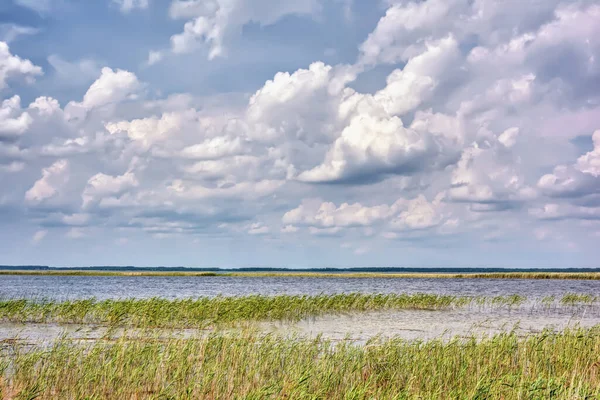 Día Soleado Sobre Lago Con Cañas Cielo Azul Con Nubes — Foto de Stock