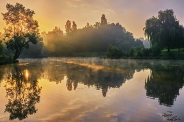 Manzara - ağaçlı ve çalılı küçük bir nehrin kıyısı sisli gündoğumunda.
