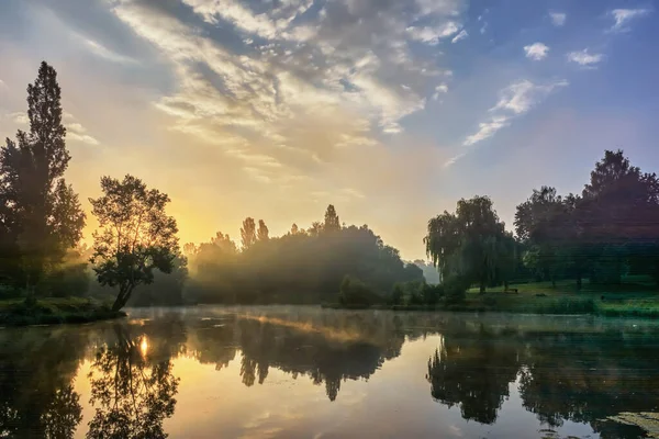 Sommerlandschaft Das Ufer Eines Kleinen Flusses Mit Bäumen Und Büschen — Stockfoto