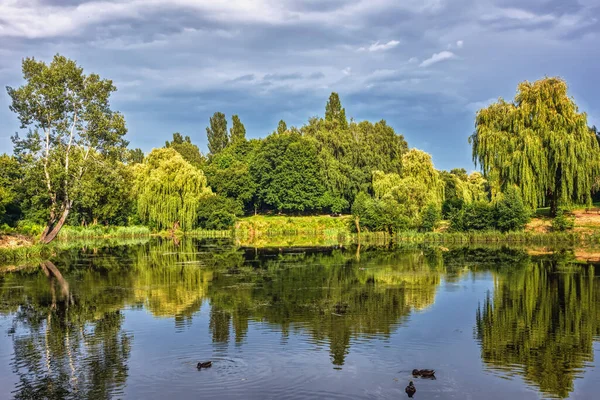 Yaz manzarası, üzerinde ağaçlar, çalılar ve fırtına bulutları olan küçük bir nehrin kıyısı..