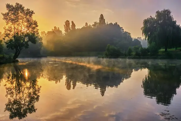 Manzara - ağaçlı ve çalılı küçük bir nehrin kıyısı sisli gündoğumunda.