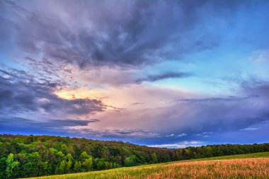 Gün batımında gök gürültülü bulutlar çayırların ve ormanın üzerinde.