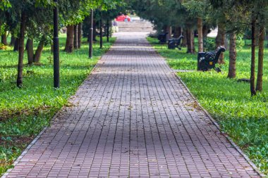 Parktaki sokak asfalt kaplı..