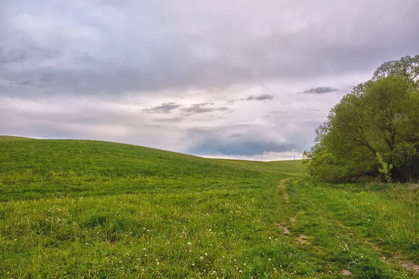 Paisagem Prados Com Nuvens Trovão Sobre Eles — Fotografia de Stock