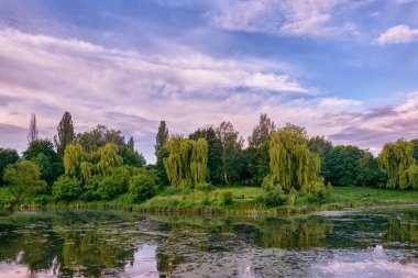 Yaz manzarası. Gün doğumunda ağaçlar ve çalılarla dolu küçük bir nehrin kıyısı..