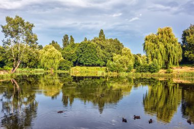 Manzara - üzerinde ağaçlar, çalılar ve fırtına bulutları olan küçük bir nehrin kıyısında..