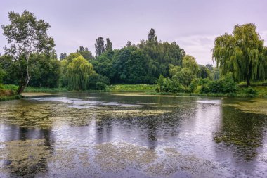 Yağmurlu havada ağaçlarla ve tepelerle dolu küçük bir nehrin kıyısında..