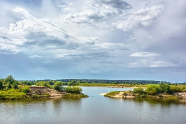 Bulutlu bir günde ağaçlarla, çalılarla ve otlarla dolu kıyı şeridi.