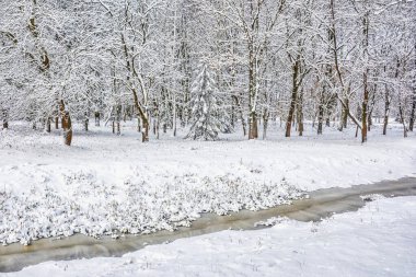 Kış ormanı küçük bir nehrin kıyısında karla kaplıdır..