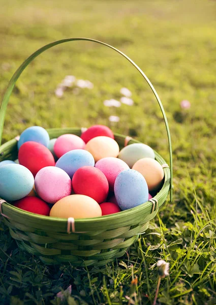 Close Van Mand Met Kleurrijke Eieren Gras — Stockfoto