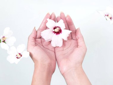 beyaz çiçek tutan genç güzel kadın