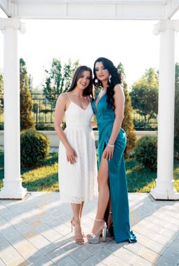 iki güzel kadın portresi 