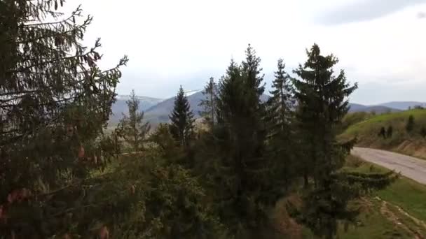 Légifelvételek Kárpát Felerősítések Ősszel Kárpáti Jellegű Szerelési Road Spruces Légifelvételek — Stock videók