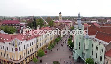 Havadan görünümü barış Meydanı Mukachevo. Yakın St Joseph, Belediye Binası katedral kilise St. Martine Gotik şapeldir. Doğu Karpat Dağları. Ukrayna