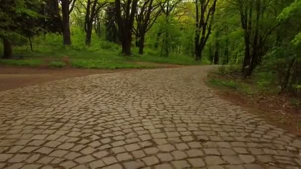 Lotnicze Strzelanki Parku Wiosnę Leśnymi Ścieżkami Leśną Kamień Utwardzonych Dróg — Wideo stockowe