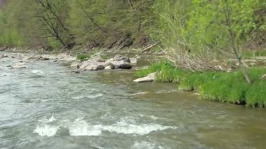 Bir dağ nehir hava görünümünü. Doğu Karpat Dağları. Ukrayna