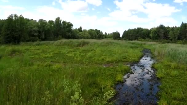 Pantanos Aéreos Tiro Ucrania Río Dnieper — Vídeo de stock