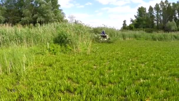 Marshlands Tiro Aéreo Ucrânia Rio Dnieper — Vídeo de Stock