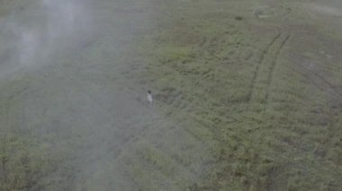 Beyaz elbiseli sis çimenli alan çalışan hava çekim Genç kız