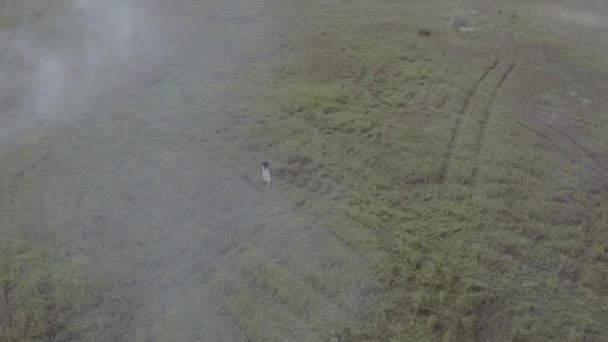 Disparos Aéreos Chica Joven Vestido Blanco Corriendo Campo Hierba Niebla — Vídeos de Stock