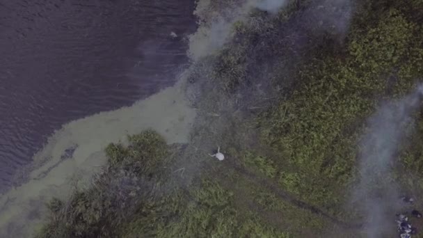 霧の中の芝生のフィールドで実行されている白いドレスの空中撮影少女 — ストック動画
