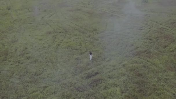 空中射击穿着白色礼服在雾中在草地上奔跑的年轻女孩 — 图库视频影像