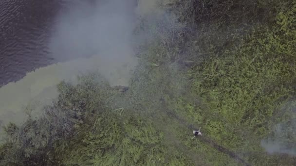 Tir aérien jeune fille en robe blanche courant sur un champ herbeux dans le brouillard 