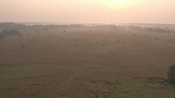 Luchtfoto Van Natuur Velden Rivier Bomen Oekraïne Europa Landschap Het — Stockvideo