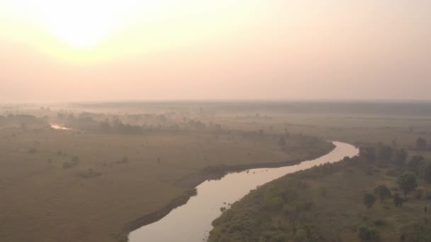 Luchtfoto Van Natuur Velden Rivier Bomen Oekraïne Landschap Van Europa — Stockvideo