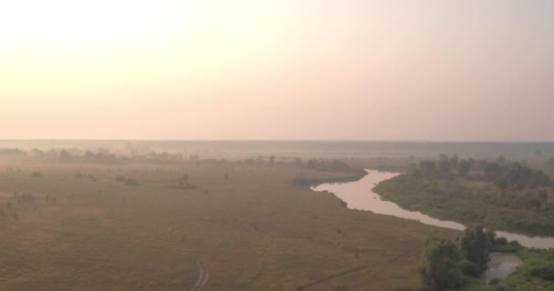 Vue Aérienne Nature Des Champs Rivière Des Arbres Ukraine Europe — Video