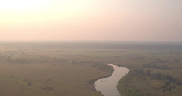 フィールド 川と木々 ウクライナ ヨーロッパの風景の空撮 — ストック動画