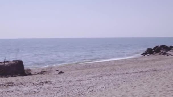 Vista Aérea Costa Marítima Com Mulher Localização Crianças Brincando Praia — Vídeo de Stock