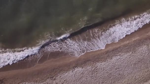 Havadan Görünümü Karadeniz Plaj Taşlar Deniz Sörf Kum — Stok video