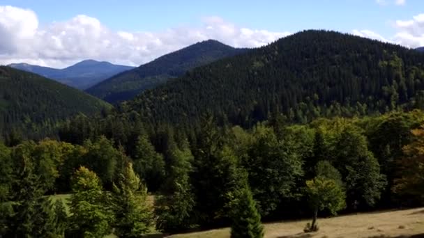 Aerial View Carpathian Mountings Summer Carpathian Nature Mounting Lake Aerial — Stock Video