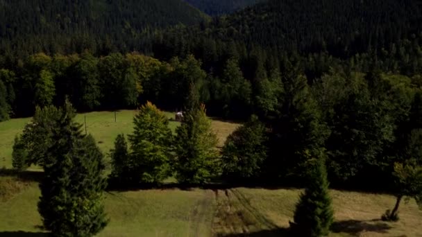 Flygfoto Karpaterna Fästen Sommaren Karpaterna Natur Granar Flygfoto Ukrainska Karpaterna — Stockvideo