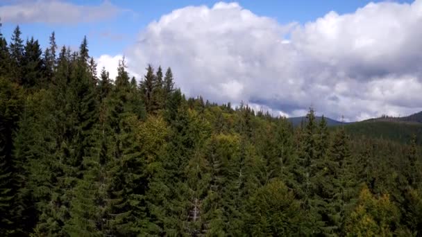 Вид Воздуха Карпатские Горы Летом Природа Карпат Восхождение Озеро Вид — стоковое видео