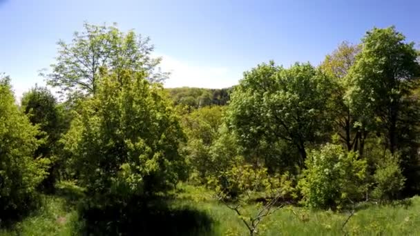 Antenn Visa Dem Hryshko Nationella Botaniska Trädgård Ligger Inkiev Trädgården — Stockvideo