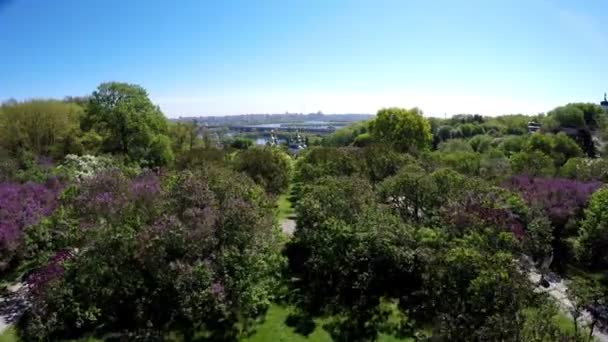 Vue aérienne theM. Le Jardin botanique national M. Hryshko est situé à Kiev. Le jardin compte de nombreux conifères et sauterelles, ainsi que des fleurs telles que des pivoines, des roses, des magnolias et des buissons, y compris des lilas. Monastère de Vydubychi et monastère de la Trinité 