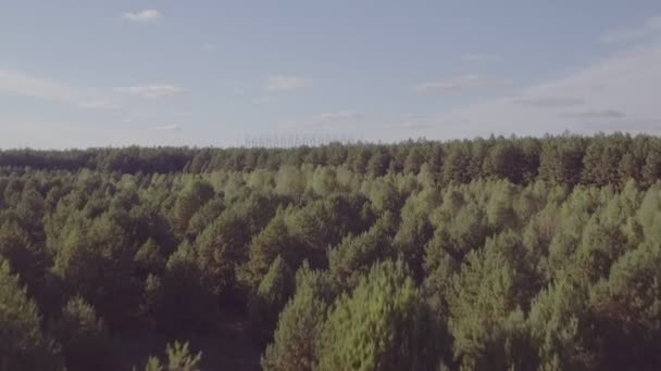 Aerial Skytte Killen Jagar Flickan Genom Fältet Skogen Antennen Fotograferar — Stockvideo